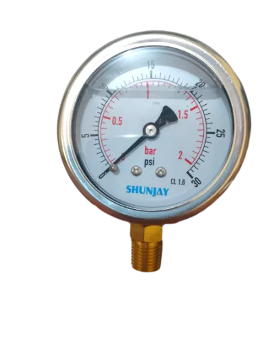 Manómetro de 2.5", 100 PSI